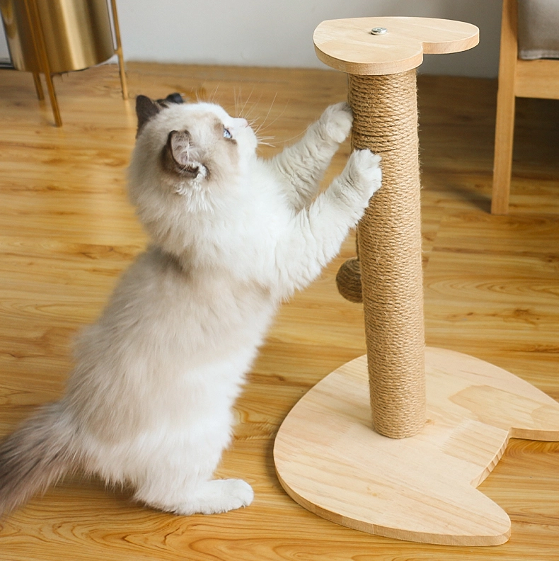 Top best products for cats: cheap useful toys and accessories