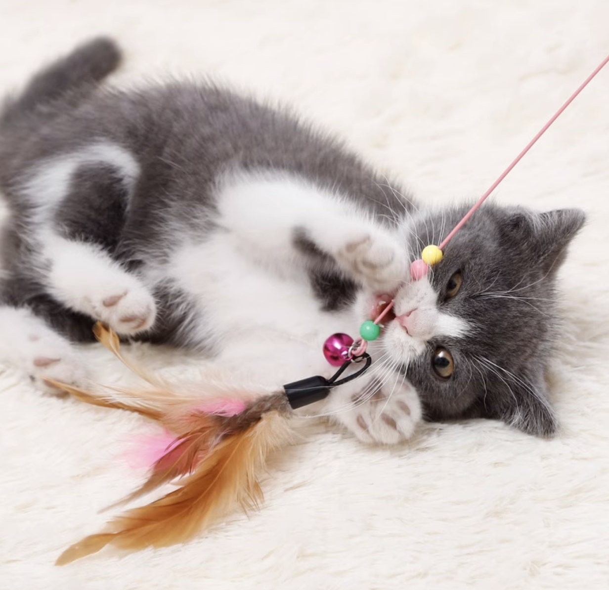 Top best products for cats: cheap useful toys and accessories