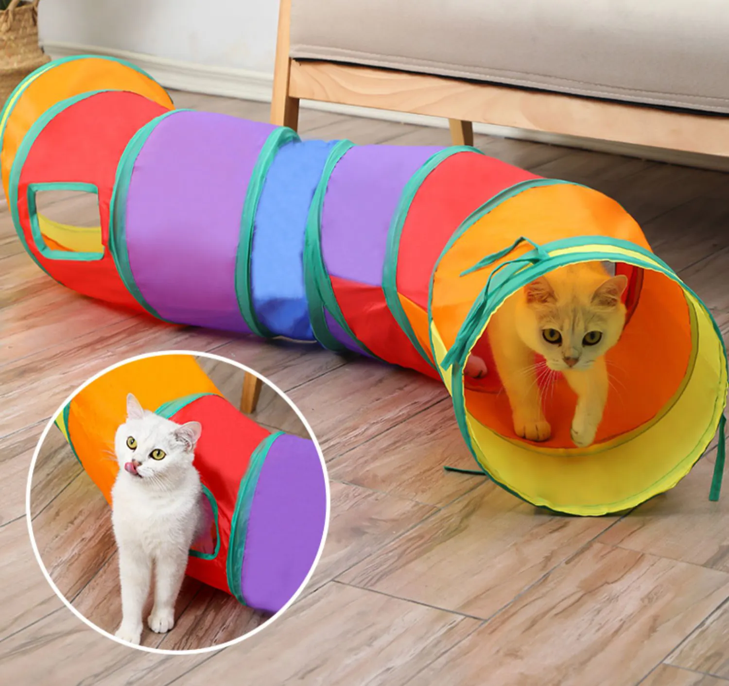 Top best products for cats: cheap useful toys and accessories